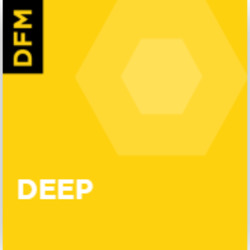 DFM Deep